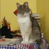 Отзыв от Венера Яшина
